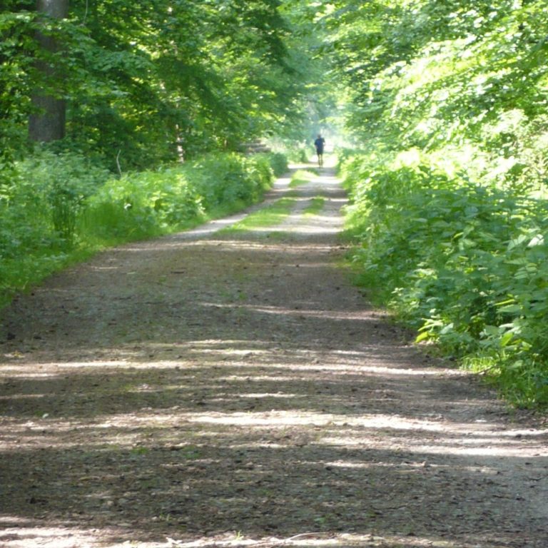 Seebrücke Kellenhusen